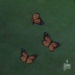 Colección Insectos: Mariposa Monarca