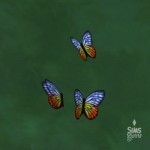 Colección Insectos: Mariposa Jezabel