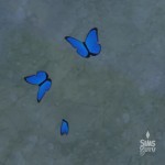 Colección Insectos: Mariposa Morpho Azul