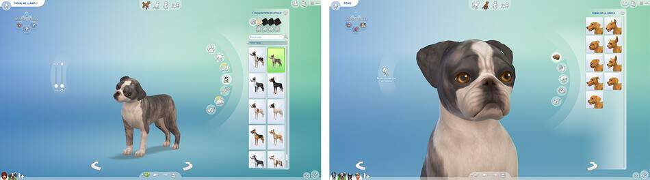 Los Sims 4 Perros y ¿Merece la Simsguru